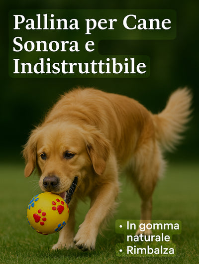Dogremi - Pallina per cane sonora, rimbalza, è indistruttibile, in gomma naturale, T9